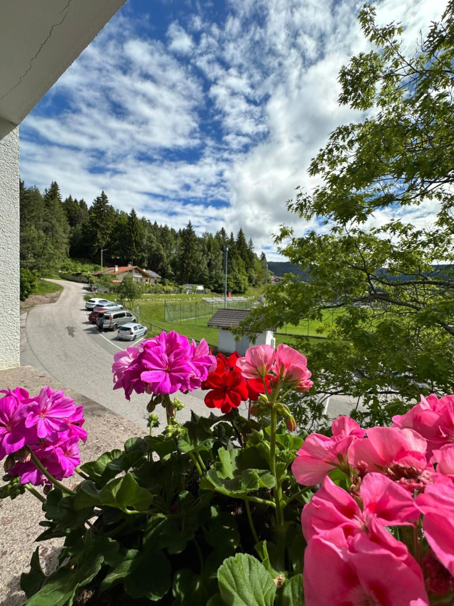 Albero Verde Verano Eksteriør bilde